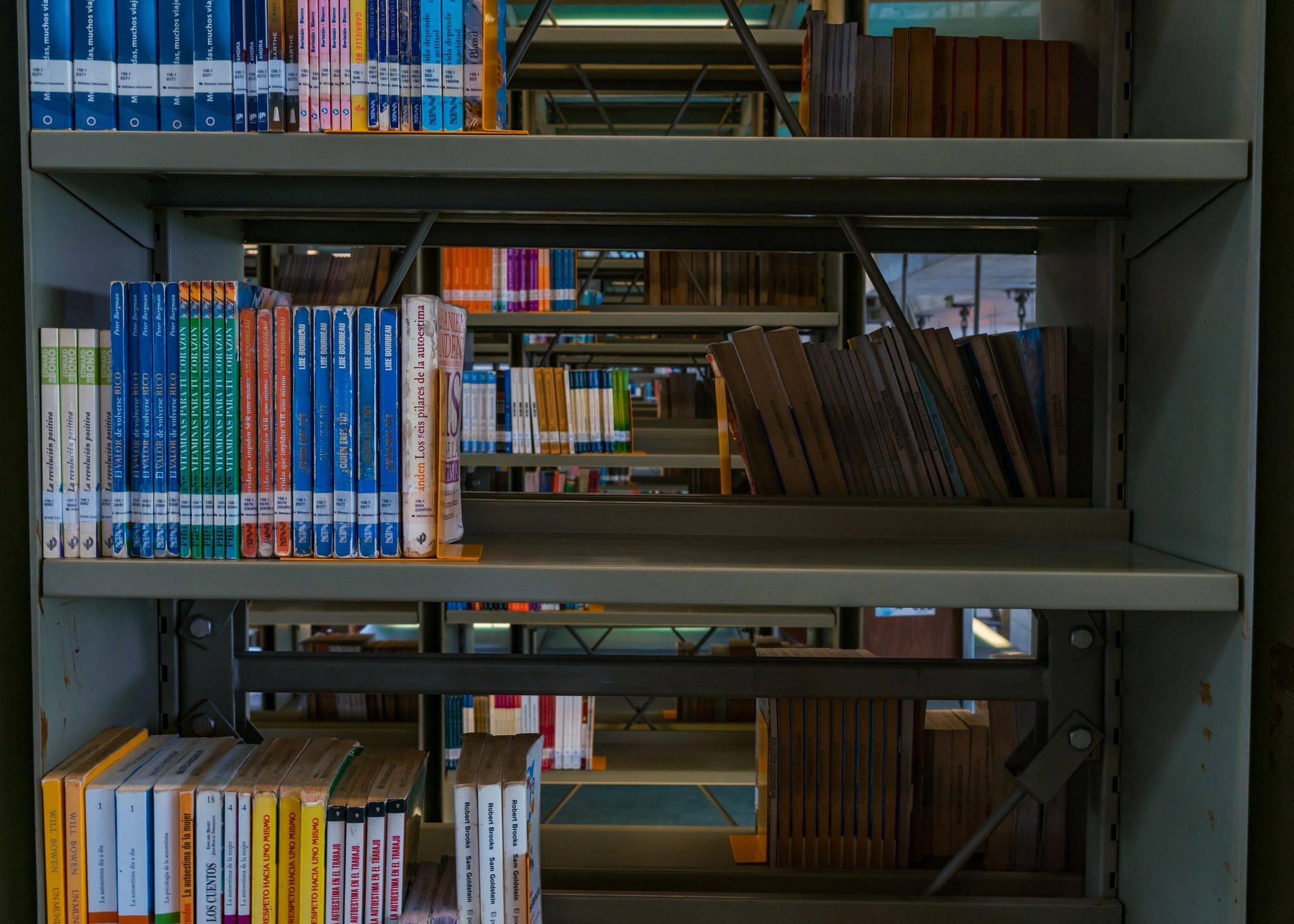 Books on a library shelf representing curated literature
